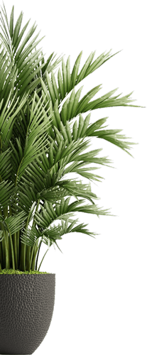 plant-500