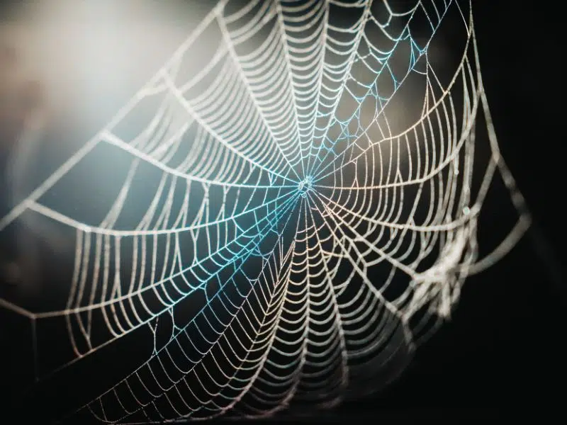 Les pièges potentiels de l'ia