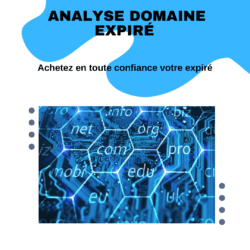 Analyse domaine expiré