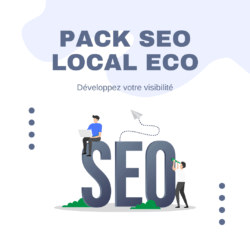 Pack seo local eco référencement naturel