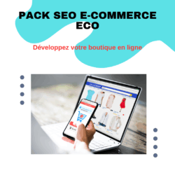 Pack seo référencement naturel e-commerce eco