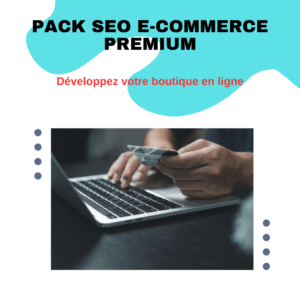 Pack seo e-commerce Premium