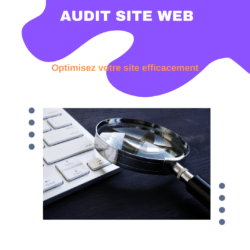 Audit SEO complet