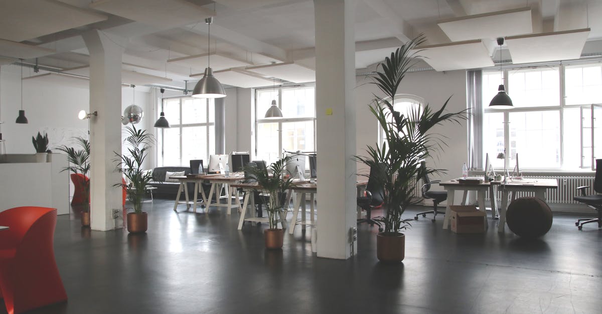 découvrez comment optimiser votre visibilité en ligne avec google my business. apprenez à créer et gérer votre fiche d'établissement pour attirer plus de clients locaux et améliorer votre référencement sur google.