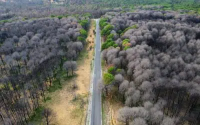 L&rsquo;Indre-et-Loire mise sur L&rsquo;IA pour lutter contre les feux de forêt