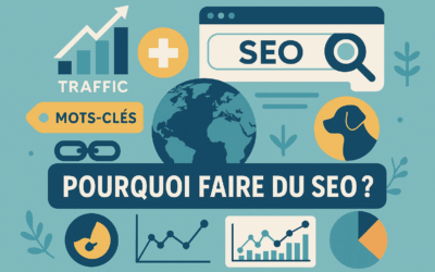 Pourquoi faire du seo ?